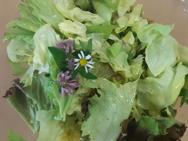 Bild frischer Salad